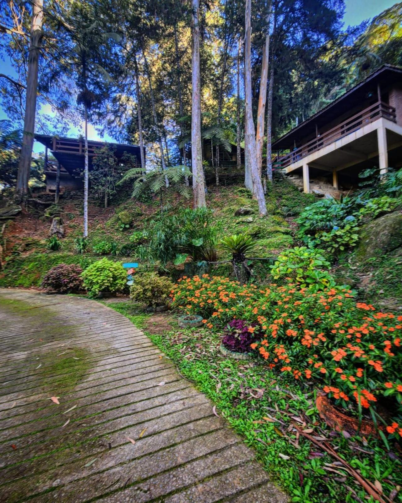 Recanto Dos Sonhos Guest House ルミアル エクステリア 写真
